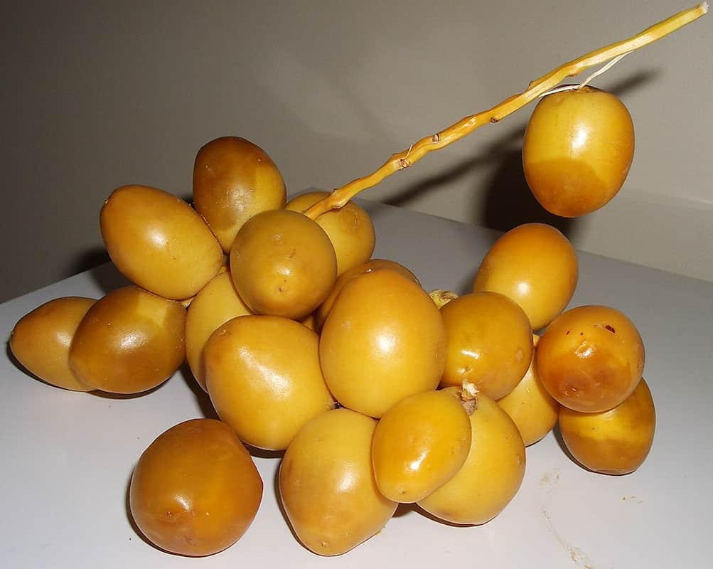 تصویر 1 از قیمت خرید خرما برحی زرد + فروش ویژه